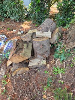 Free firewood