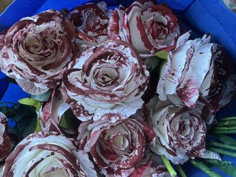Painted Roses