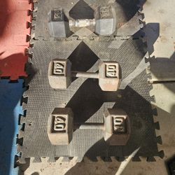 Hand Weights $20 Each