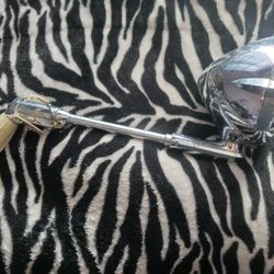 Accessory Spotlight 