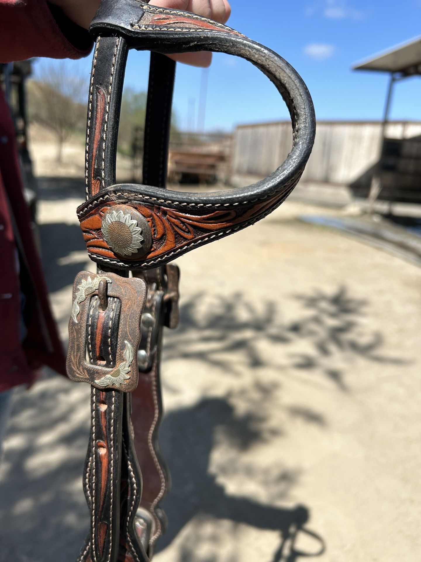 Bits And Bridles For Sale