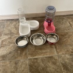 Pet Food bowl 