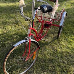 Red adult tricycle-bike