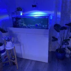 35 gallons  fish tank and stand