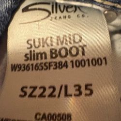 Silver Jean  Size 22/L35