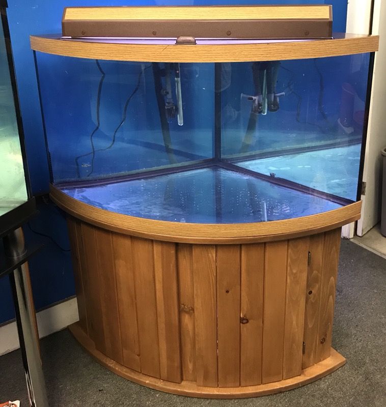 92 gallon corner Bowfront Aquarium fish tank complete set up $700