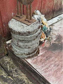 Concrete garden stepping stone