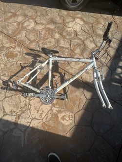 Trek Bike Frame with Fork and Components