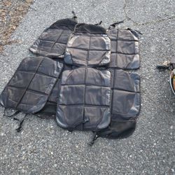 Carseat Protectors