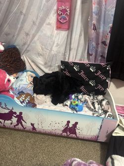 Bed With Canopy Thing Over It Desk Bookshelf