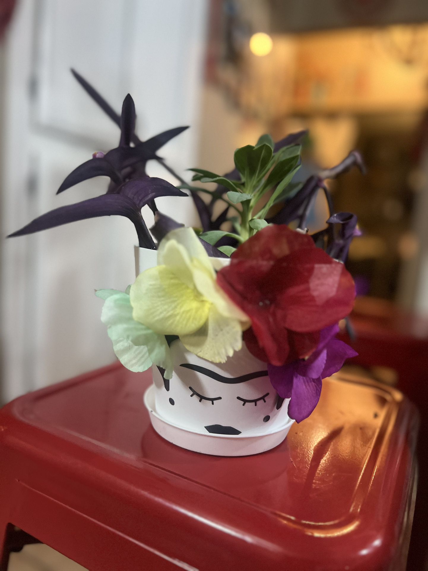 Homemade Succulent Pots-different Designs 