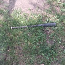 Baseball Bat