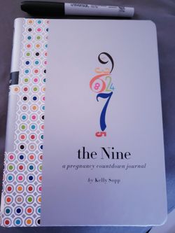 Pregnancy Journal, awesome keepsake for family.