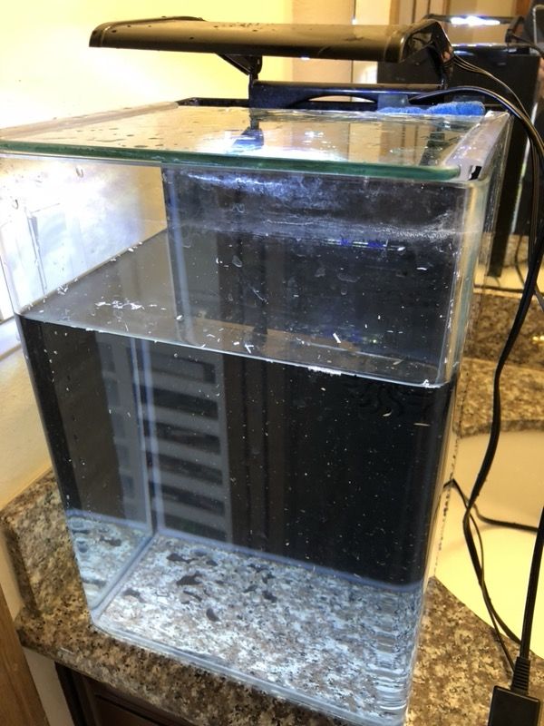 Marineland portrait aquarium kit 5g