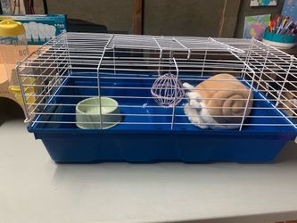 Cage with house and training pads