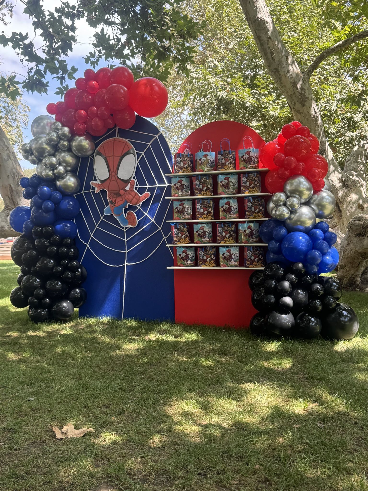 Balloon Arch
