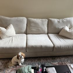 Living Spaces Couch