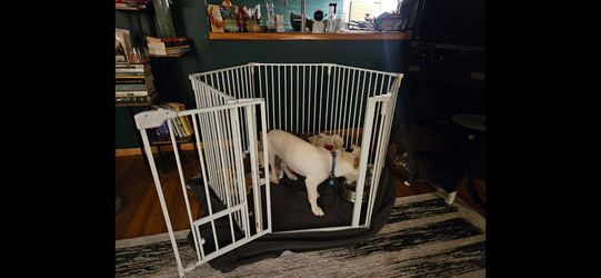 Steel Pet Gate & Play Pen