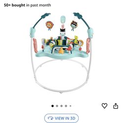 Fisher -price Baby Bouncer