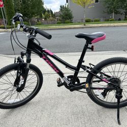 Kids Trek Mountain Bike 