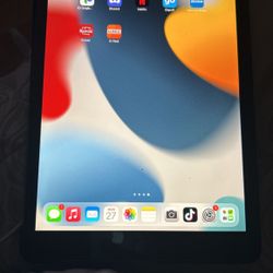 iPad With TikTok Downloaded 