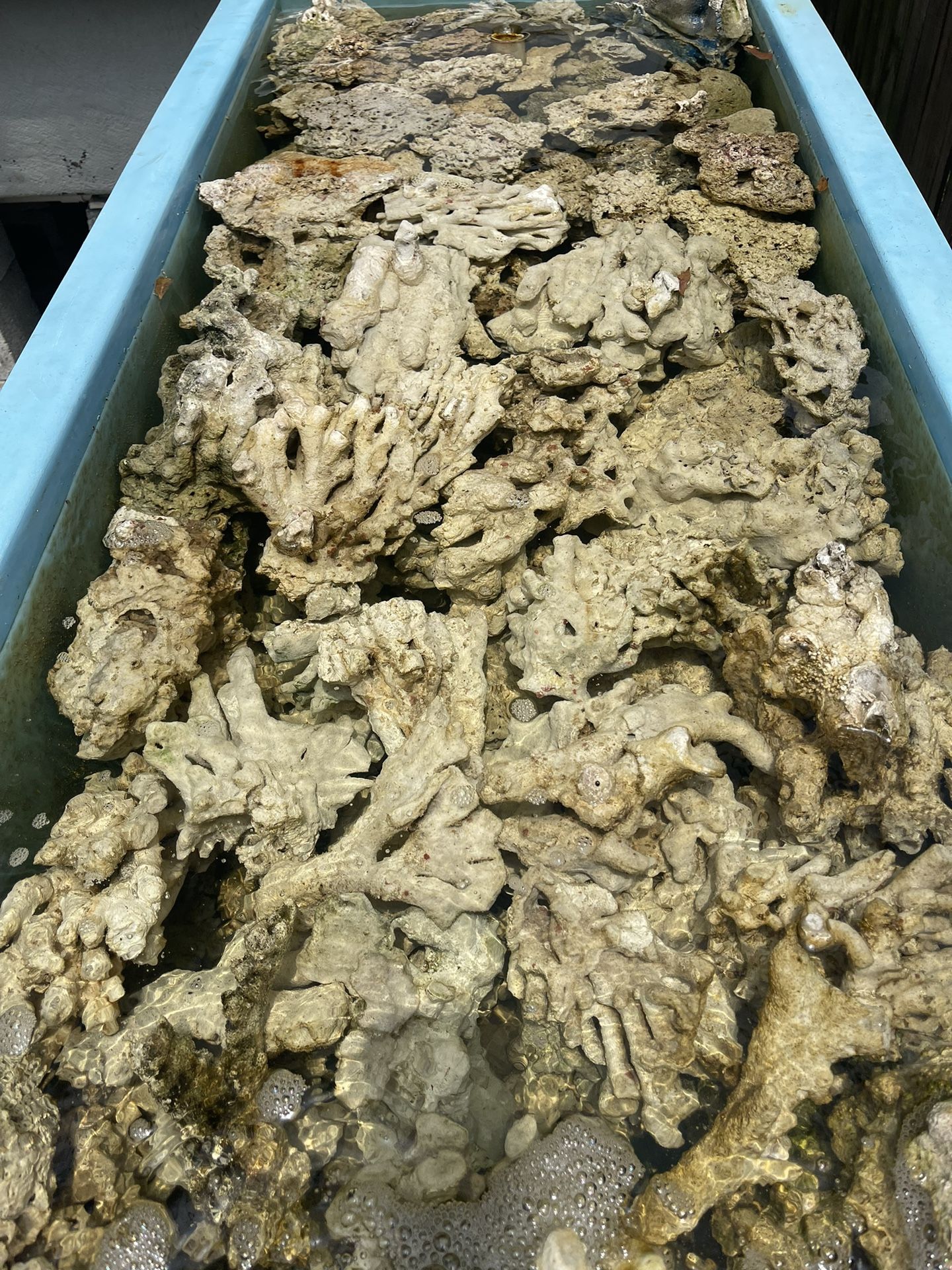 High Quality, Pest Free, Live Rock And Dry Rock For Saltwater Reef Aquariums