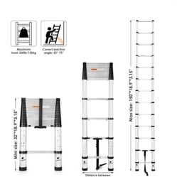 Telescoping Ladder