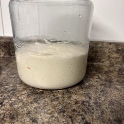 Sourdough starter