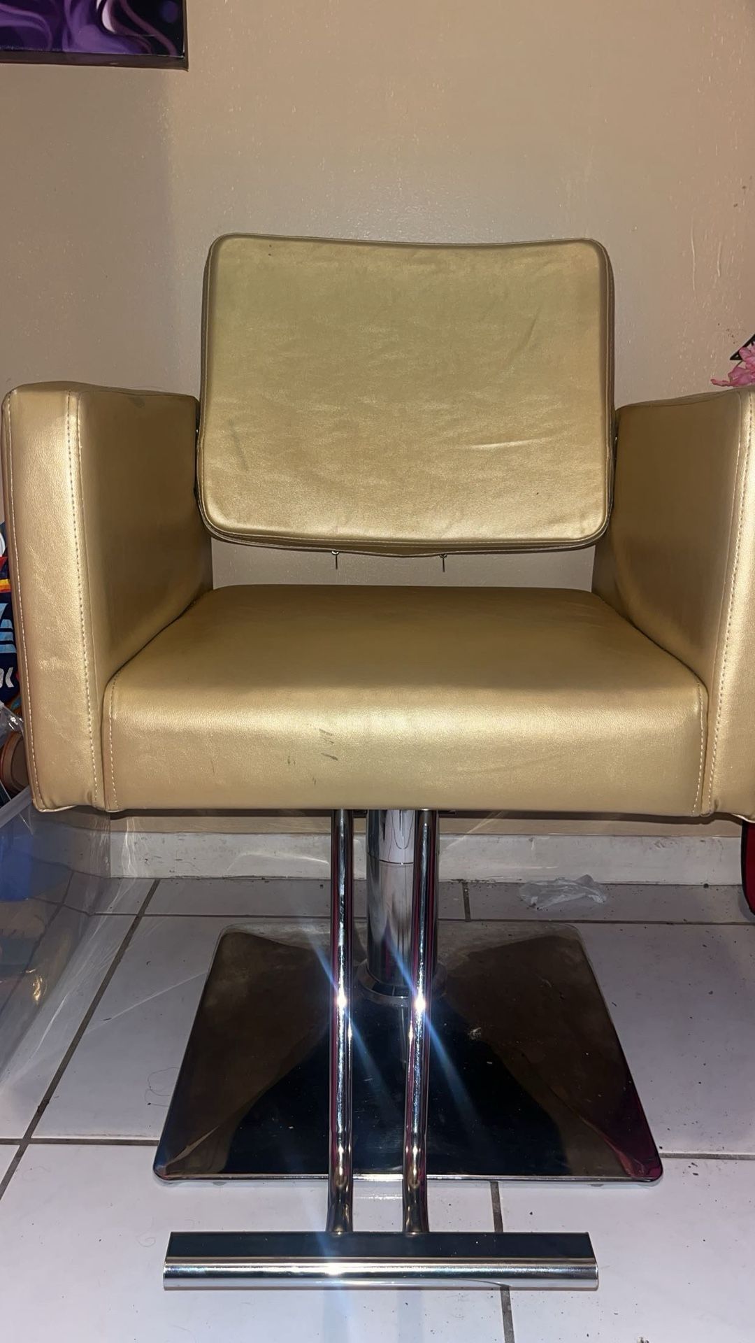 Salon Chair