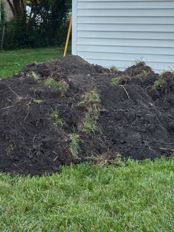 Free Dirt