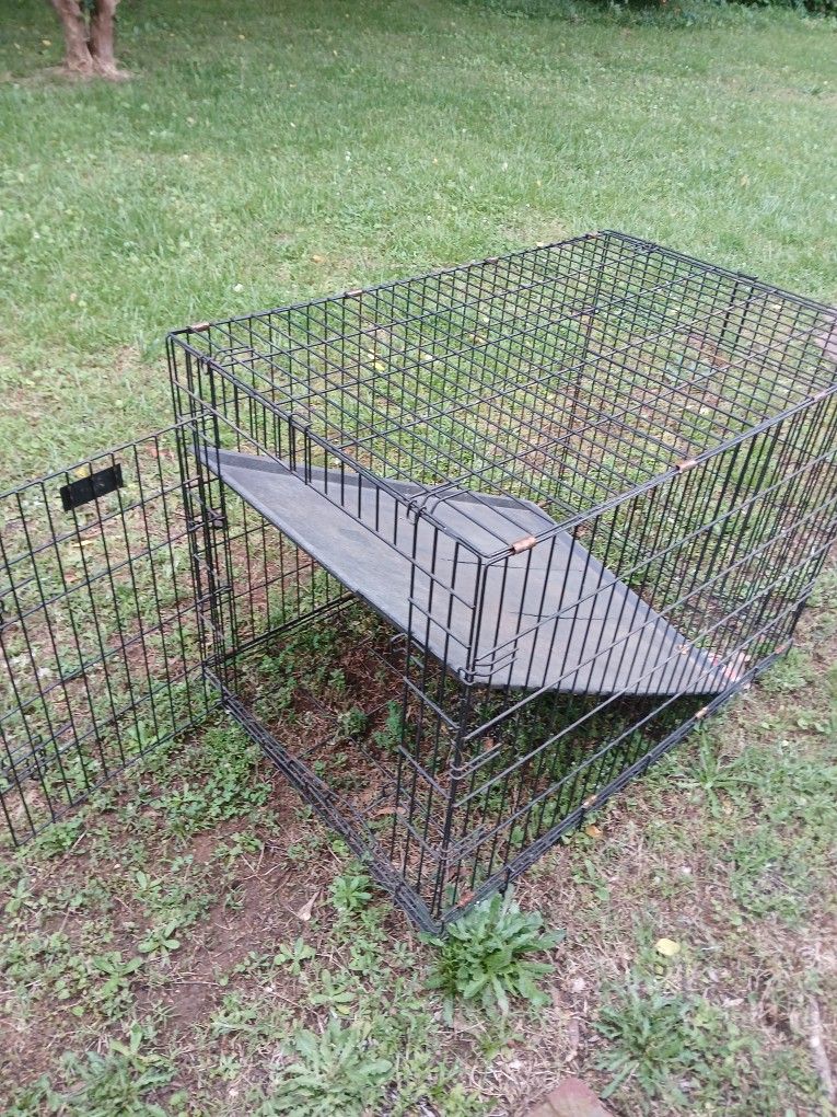 Petmate Dog Crate
