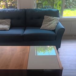 Like new sleeper sofa set and Scandinavian Designs coffee table