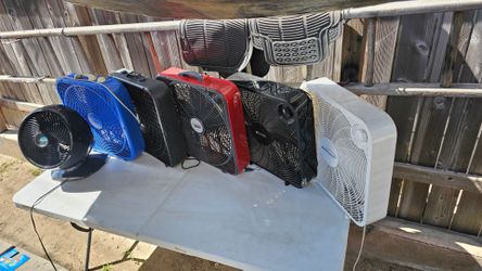 Fans $30