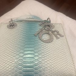 Beautiful Purse