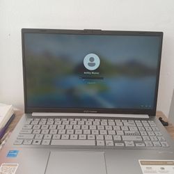 Asus Vivobook Go 