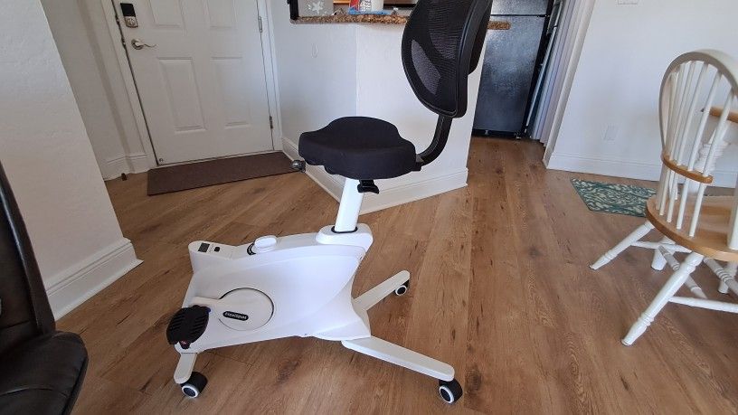 Flexispot Exercise Bike