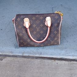 Louis Vuitton Handbag