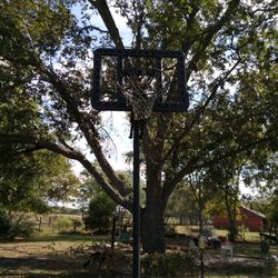 Basketball Goal
