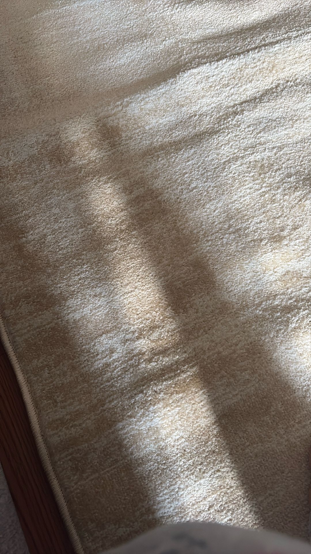 6x9 R Safavieh Beige Rug Never Used