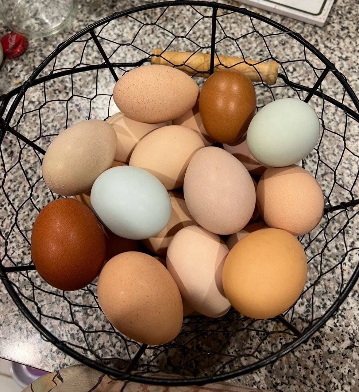 Fresh fertilized eggs