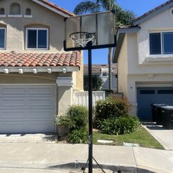 Free Basketball Hoop 