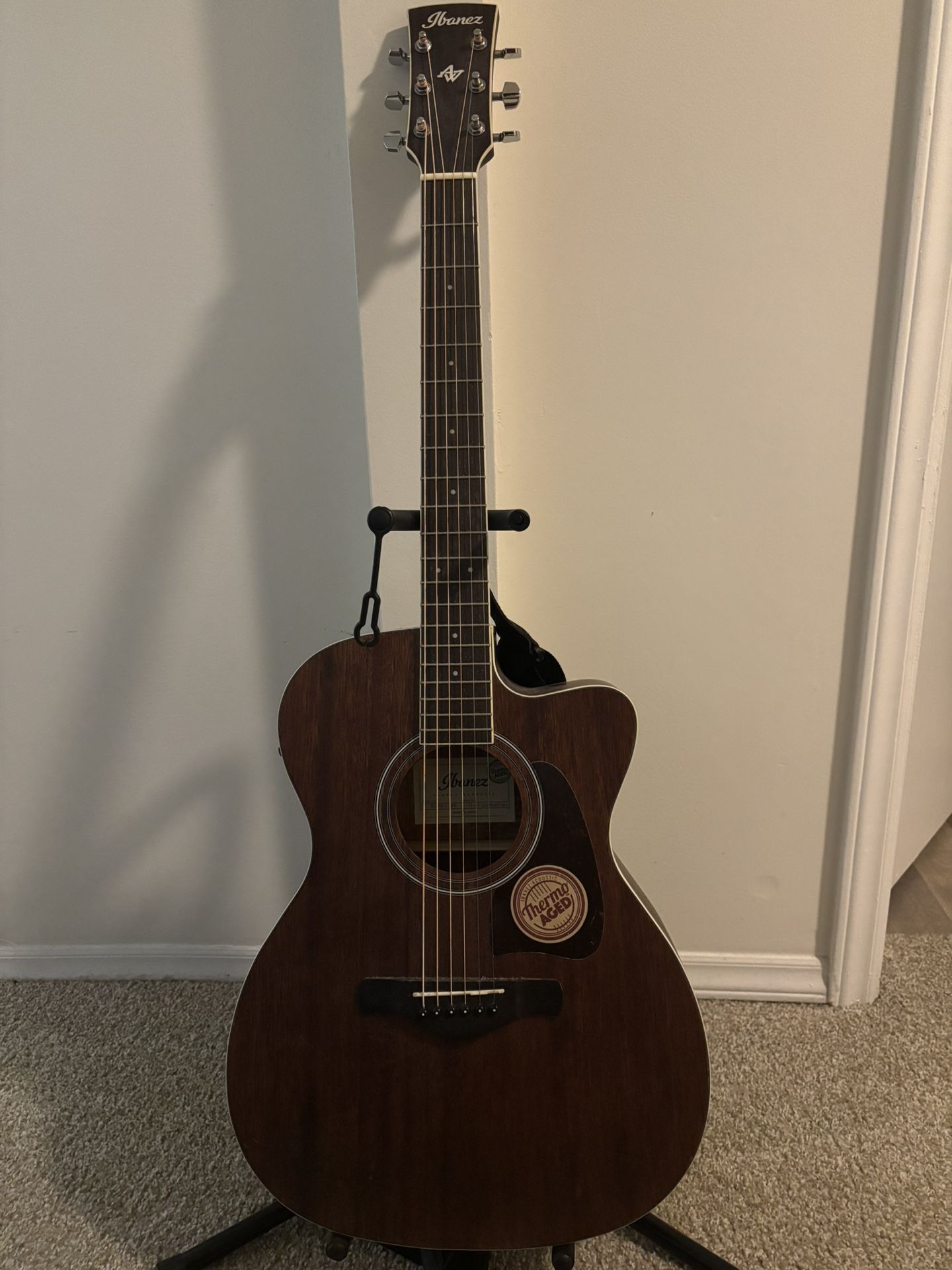 Ibanez Electric Acoustic Guitar