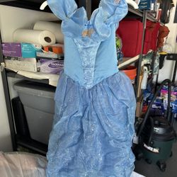 Halloween Costume Disney Cinderella Princess