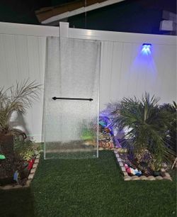 Shower door