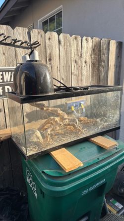 Reptile tank
