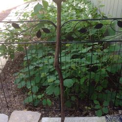 Custom Made Walking Stick