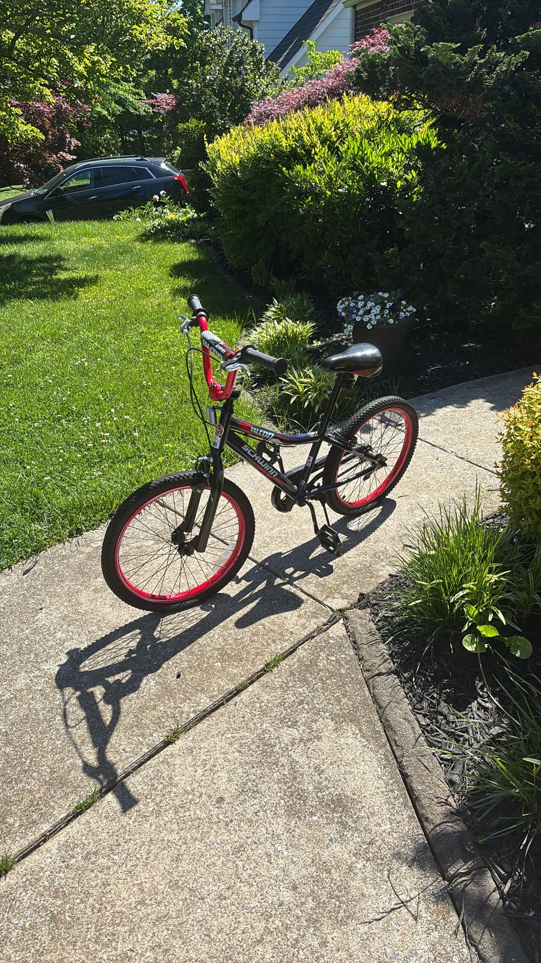 Schwinn Falcon