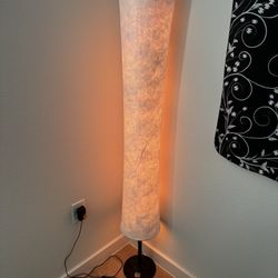Color-Changing Floor Lamp (was $70)