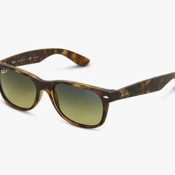 Ray Ban Wayfarer Polarized