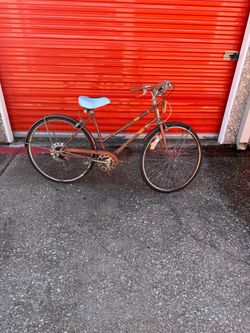 Vintage adult bike